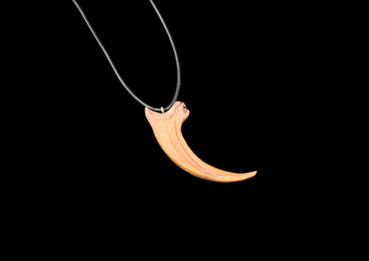 Halskette Raptorenkralle (Replikat)