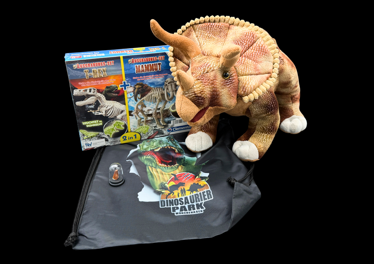 Dinosaurier Geschenkset