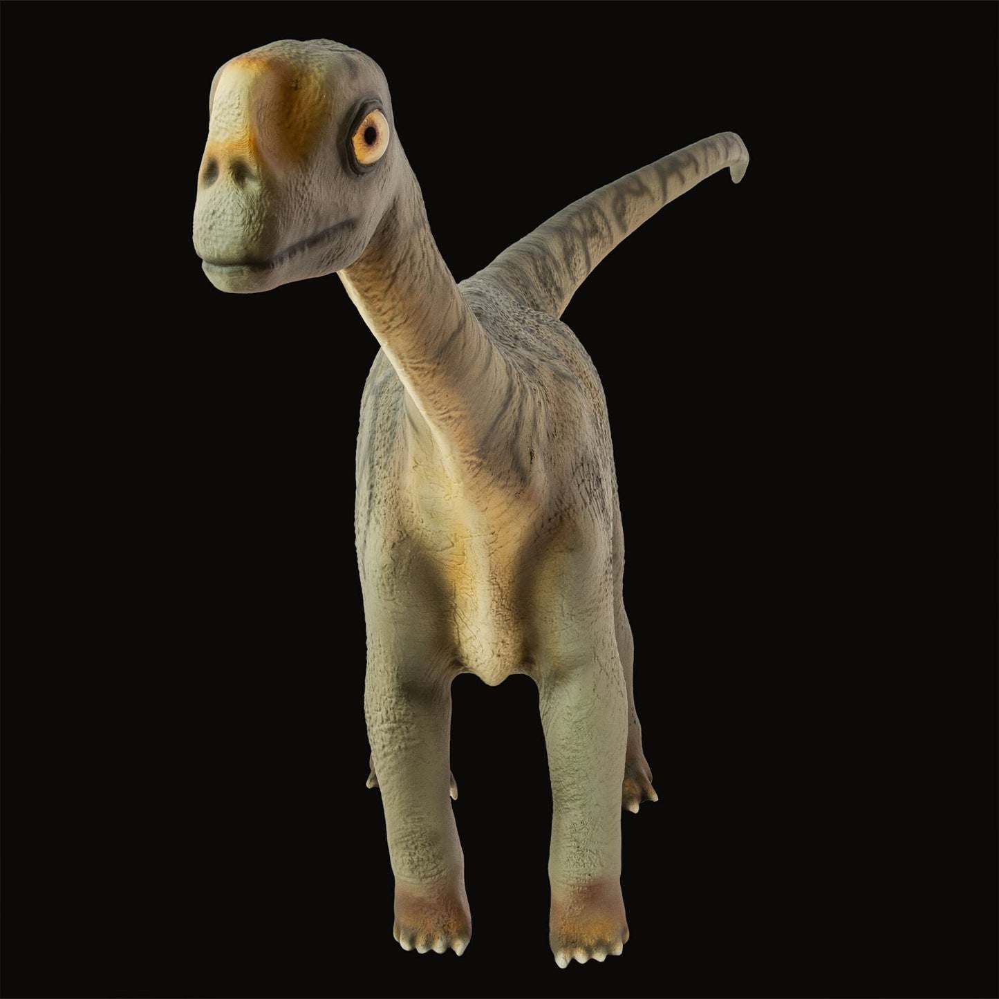 Europasaurus Baby
