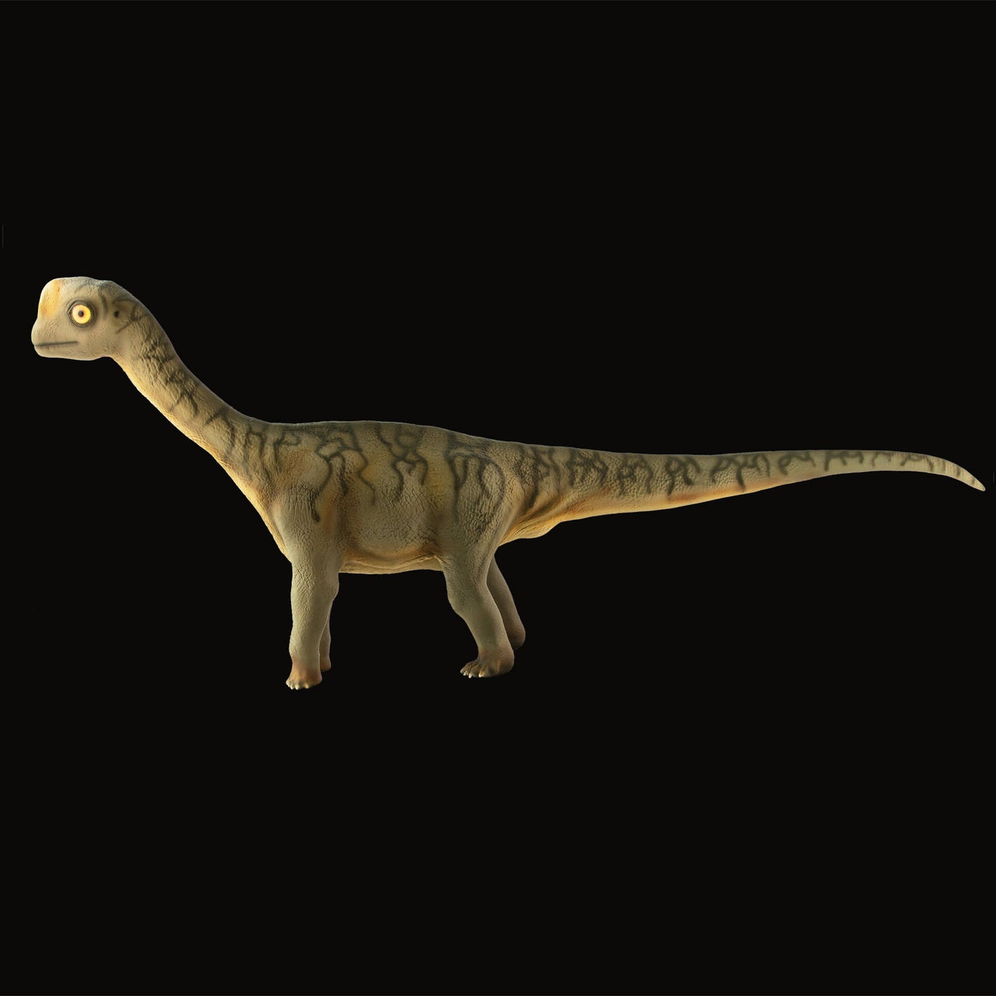 Europasaurus Baby
